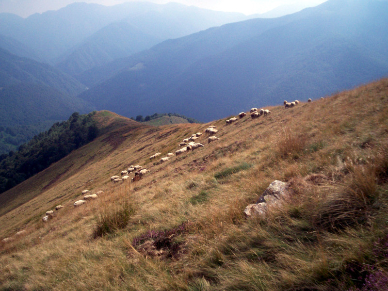 Cima Ometto - Testone tre Alpi